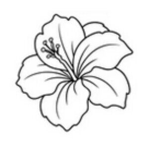 Meet your Posher, Judy